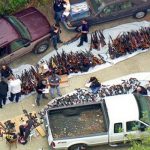 Decomisan más de 1.000 armas en una vivienda lujosa de Los Ángeles eeuu