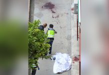 Colombiana es asesinada a puñaladas por su pareja en España (FOTOS) espana