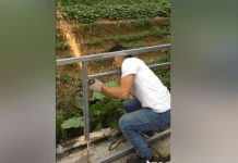 Soldó un muro y su cabeza quedó atorada (VIDEO VIRAL) video viral