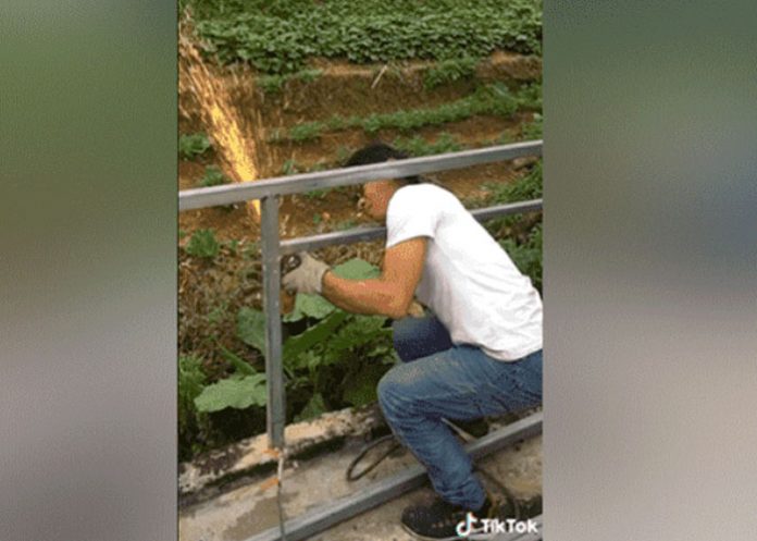 2_UiC1i16 video viral