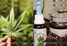 Costa Rica venderá en los próximos meses cannabis medicinal costa rica