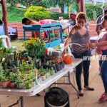 Feria de los Pueblos Blancos resalta el trabajo de viveristas de Nicaragua nicaragua