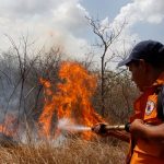 Incendios forestales afectan la zona norte de Costa Rica costa rica