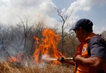 Incendios forestales afectan la zona norte de Costa Rica costa rica