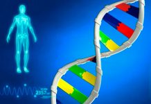 Será posible cambiar el ADN? Japón busca legalizar la ‘redacción’ de genes en embriones humanos