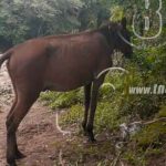 nicaragua