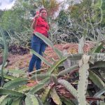 Madre concheña saca a sus hijos adelante elaborando vinos nicaragua