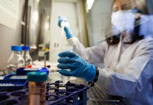 Logran borrar el VIH de los genes de ratones ciencia