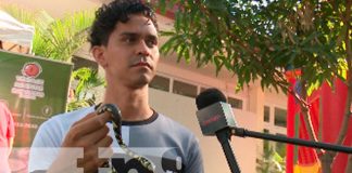 nicaragua, managua, feria de la madre tierra