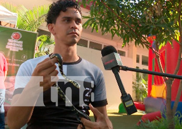 nicaragua, managua, feria de la madre tierra