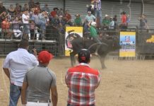 show taurino