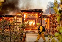 California combate 330 incendios en las últimas 24 horas estados unidos