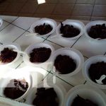 Los diversos postres y bebidas que se elaboran para Semana Santa en Nicaragua nicaragua