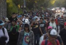 migrantes