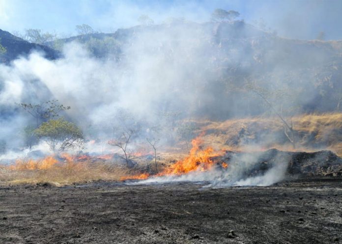 3_ECChOKX costa rica