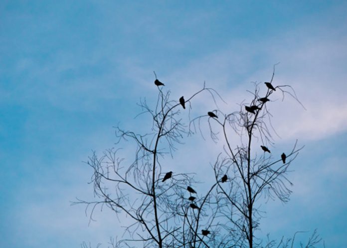 3_Gghc8Vv meteoritos