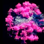 Estudio: Técnica de imagen en 3D mejora el conocimiento del coronavirus ciencia