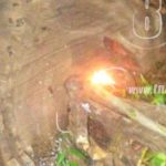 Una bebé fallecida tras picaduras de abejas en una comarca de la Paz Centro, León nicaragua