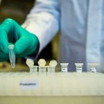 CureVac y Bayer colaboran en el desarrollo de vacuna contra la covid-19 mundo