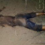 Investigan hallazgo de cadáver y mortal accidente en León nicaragua