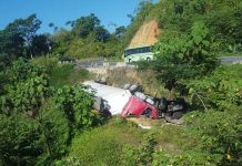 Furgonero muere al caer a un guindo en Costa Rica costa rica