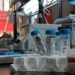 Crean anticuerpos que reconocen células tumorales, según estudio salud