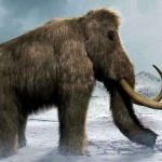 Mastodontes migraron al norte en respuesta al cambio climático ciencia