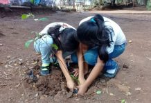 Chontales Lanza campaña «Un madroño para mi país, Nicaragua mía»