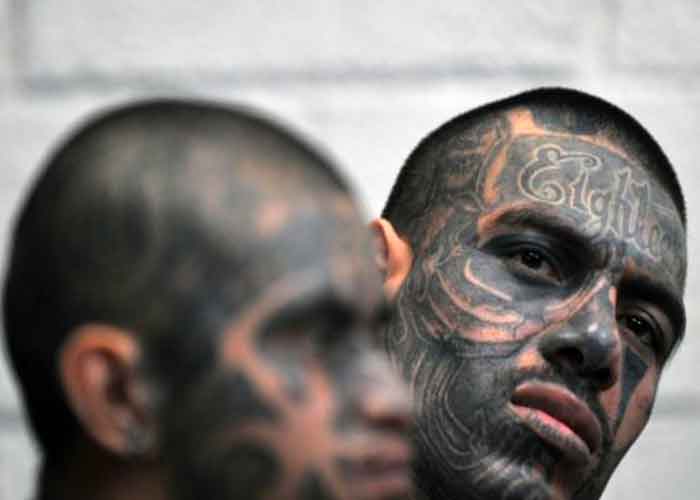 420-pandilleros-ms-guatemala guatemala