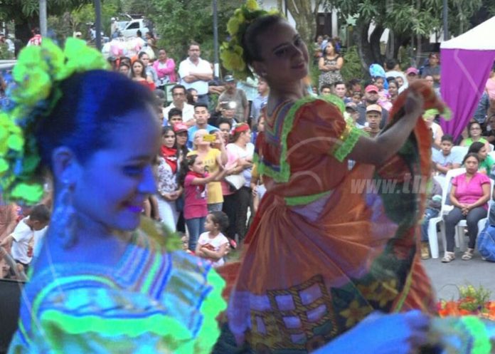 actividades culturales