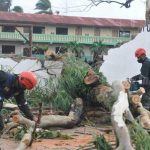 5 de noviembre: Estas son las noticias de Nicaragua con las que debes iniciar tu día nicaeagua