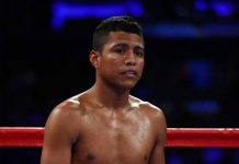 Chocolatito sufre lesión y no peleará en diciembre roman