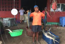 Bajan las exportaciones