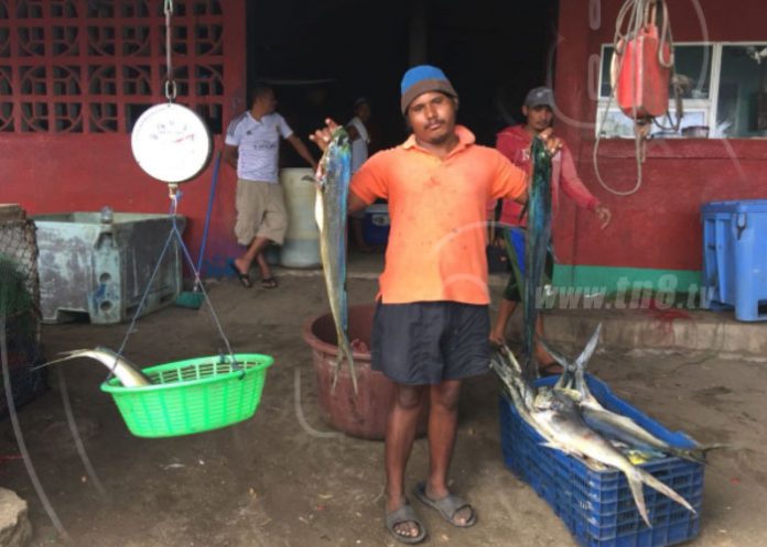 Bajan las exportaciones