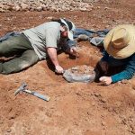 Encuentran restos de osa gigante de hace 400.000 años en Argentina ciencia