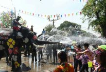 Elefantes que salpican dan comienzo al festival del agua en Tailandia tailandia