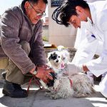 28 de septiembre: Día Mundial contra la Rabia salud