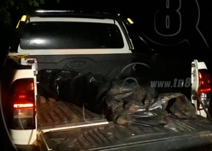 Anciano muere ahogado