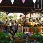 MEFCCA celebra feria de las cooperativas en homenaje a Sandino managua