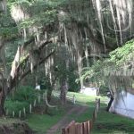 Finca Santa Fe, Matagalpa, es declarada Reserva Silvestre Privada nicaragua