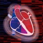 Crean mapa del corazón que podría guiar tratamientos personalizados salud