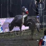 Familias de San Rafael del Sur disfrutaron de una espectacular corrida de toros nicaragua