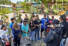 «Siembras de árboles de vida y esperanza, en celebración del día de la Biblia nicaragua