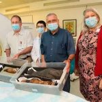 Científicos descubren que una momia infantil de 3.000 años no es humana estudio