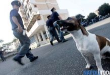 Mafia italiana ofrece recompensa por matar al perro «Pocho» italia