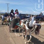 Culminan fiestas agostinas con carrera de carretones en Ciudad Sandino nicaragua
