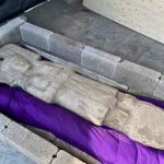 Agricultores mexicanos encuentran rara estatua femenina en Citrus Grove mexico