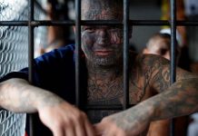 Los miembros de la Mara Salvatrucha ya no se tatúan ¿La razón? marero