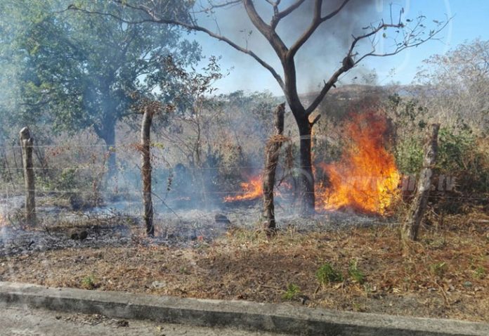 5c222e1c5ab84c29e8299b8ef3b2c1b4 nicaragua