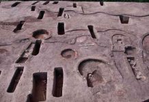 Descubren 110 tumbas de la época predinástica en Egipto ciencia, egipto, descubrimiento, arqueologia, antigüedades